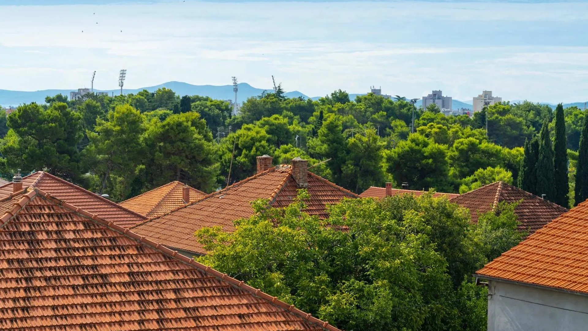 Dalmatian Breeze Apartment Brodarica  Croatia